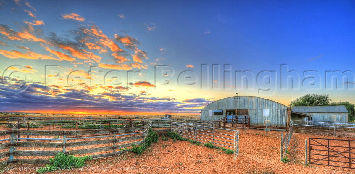 Peter Bellingham Photography Bucklow Station - Woolshed - NSW T (PB5D 00 2670)